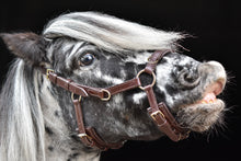 Afbeelding in Gallery-weergave laden, Human &amp; Horse Heart Hoofdstel (Kaptoom, verwacht april 2021) - Human &amp; Horse Academy