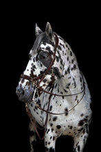 Afbeelding in Gallery-weergave laden, Human &amp; Horse Reins (Teugels) - Human &amp; Horse Academy