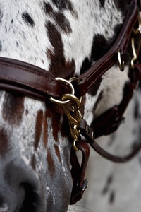 Human & Horse Heart Hoofdstel (Kaptoom, verwacht april 2021) - Human & Horse Academy