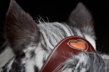 Laden Sie das Bild in den Galerie-Viewer, Human &amp; Horse Heart Hoofdstel (Kaptoom, verwacht april 2021) - Human &amp; Horse Academy