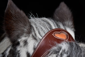 Human & Horse Heart Hoofdstel (Kaptoom, verwacht april 2021) - Human & Horse Academy
