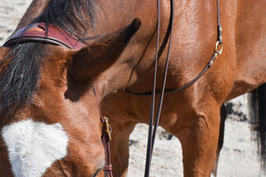 Human & Horse Neckrope - Human & Horse Academy