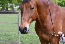 Laden Sie das Bild in den Galerie-Viewer, Human &amp; Horse Neckrope - Human &amp; Horse Academy