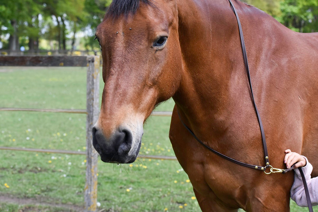 Human & Horse Neckrope - Human & Horse Academy