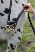 Laden Sie das Bild in den Galerie-Viewer, Human &amp; Horse Neckrope - Human &amp; Horse Academy