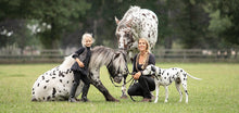Laden Sie das Bild in den Galerie-Viewer, Human &amp; Horse Boek, Platform &amp; App (&gt; 150 video&#39;s) - Human &amp; Horse Academy
