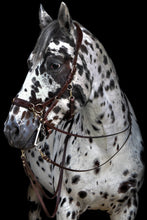 Laden Sie das Bild in den Galerie-Viewer, Human &amp; Horse Heart Hoofdstel (Kaptoom, verwacht april 2021) - Human &amp; Horse Academy