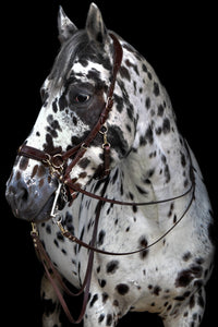 Human & Horse Heart Hoofdstel (Kaptoom, verwacht april 2021) - Human & Horse Academy