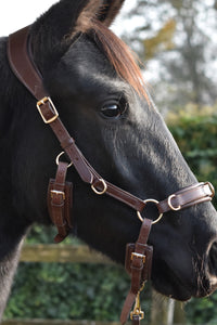Human & Horse Heart Hoofdstel (Kaptoom, verwacht april 2021) - Human & Horse Academy