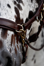 Laden Sie das Bild in den Galerie-Viewer, Human &amp; Horse Reins (Teugels) - Human &amp; Horse Academy