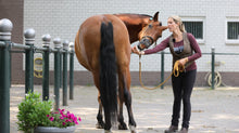 Afbeelding in Gallery-weergave laden, Totaalpakket Guasha-therapie Mens &amp; Paard (combi-korting). - Human &amp; Horse Academy