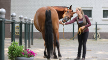 Laden Sie das Bild in den Galerie-Viewer, Human &amp; Horse Guasha-therapie voor Paarden: boek &amp; platform - Human &amp; Horse Academy