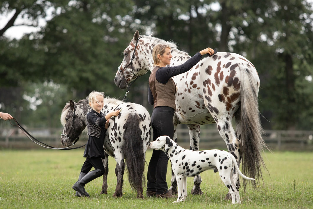 Human & Horse Guasha-therapie voor Paarden: boek & platform - Human & Horse Academy