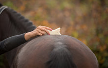 Load image into Gallery viewer, Human &amp; Horse Guasha-therapie voor Paarden: boek &amp; platform - Human &amp; Horse Academy