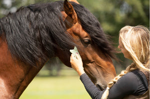 Human & Horse Guasha-therapie voor Paarden: boek & platform - Human & Horse Academy