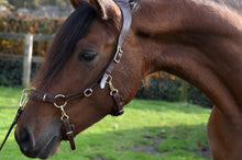 Laden Sie das Bild in den Galerie-Viewer, Human &amp; Horse Heart Hoofdstel (Kaptoom, verwacht april 2021) - Human &amp; Horse Academy