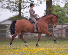 Afbeelding in Gallery-weergave laden, Human &amp; Horse Boek, Platform &amp; App (&gt; 150 video&#39;s) - Human &amp; Horse Academy