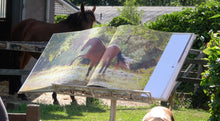 Laden Sie das Bild in den Galerie-Viewer, Human &amp; Horse Boek, Platform &amp; App (&gt; 150 video&#39;s) - Human &amp; Horse Academy