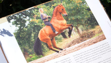 Laden Sie das Bild in den Galerie-Viewer, Human &amp; Horse Boek, Platform &amp; App (&gt; 150 video&#39;s) - Human &amp; Horse Academy