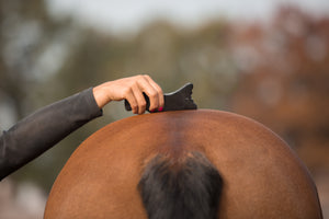 Totaalpakket Guasha-therapie Mens & Paard (combi-korting). - Human & Horse Academy