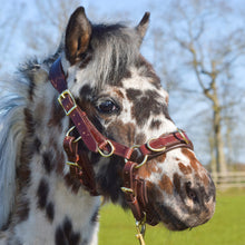 Laden Sie das Bild in den Galerie-Viewer, Human &amp; Horse Heart Hoofdstel - Human &amp; Horse Academy