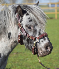 Laden Sie das Bild in den Galerie-Viewer, Human &amp; Horse Heart Hoofdstel - Human &amp; Horse Academy